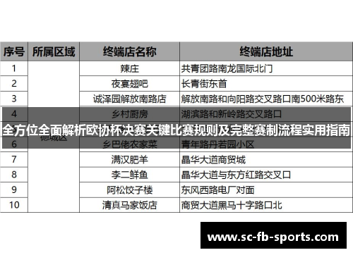 全方位全面解析欧协杯决赛关键比赛规则及完整赛制流程实用指南