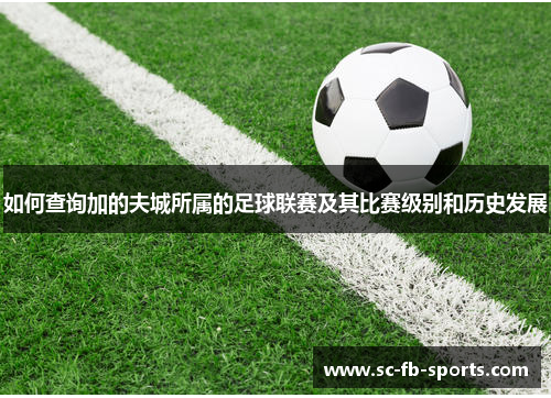如何查询加的夫城所属的足球联赛及其比赛级别和历史发展