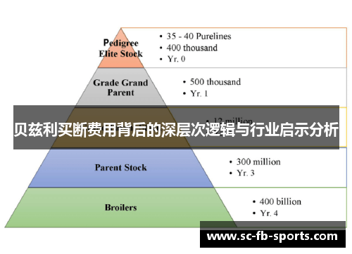 贝兹利买断费用背后的深层次逻辑与行业启示分析 贝兹利买断费用背后的深层次逻辑与行业启示分析